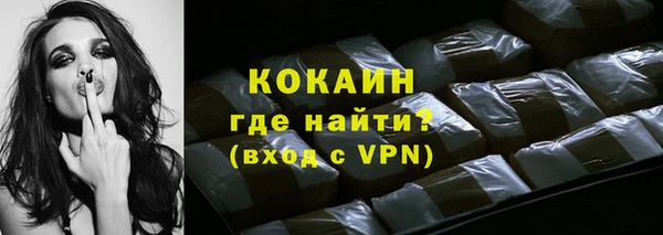ГАЛЛЮЦИНОГЕННЫЕ ГРИБЫ Ельня