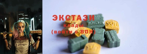ГАЛЛЮЦИНОГЕННЫЕ ГРИБЫ Ельня