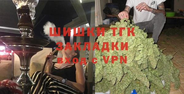ГАЛЛЮЦИНОГЕННЫЕ ГРИБЫ Ельня