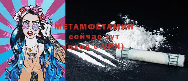 ГАЛЛЮЦИНОГЕННЫЕ ГРИБЫ Ельня