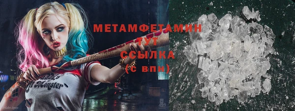 ГАЛЛЮЦИНОГЕННЫЕ ГРИБЫ Ельня